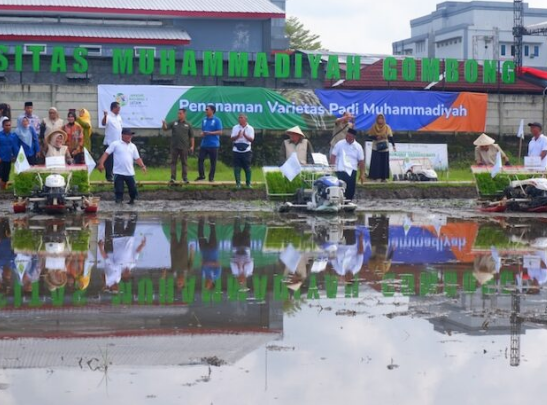 BERAS MENTARI IKON KEDAULATAN PANGAN DAN SIMBOL PEMERSATU JATAM