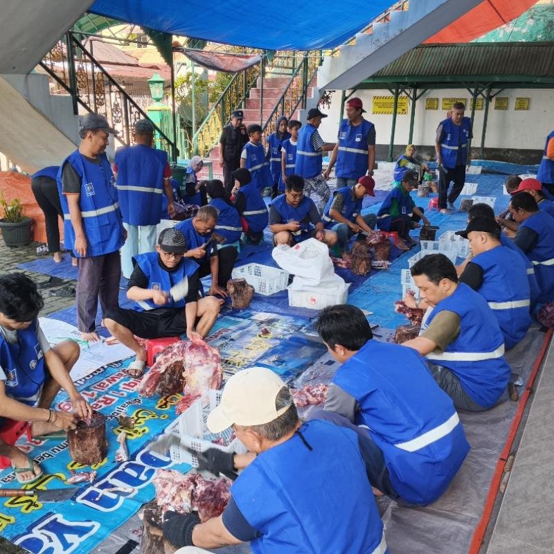 Idul Adha 1447 H : PCM Wonosobo Sembelih 11 Sapi dan 46 Kambing Qurban, Salurkan 1.862 Kantong Daging
