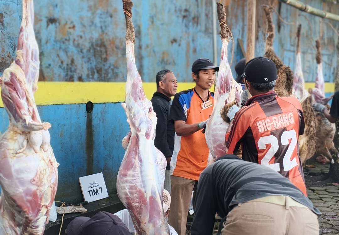 Pertama di Wonosobo, KBIHU Gema Arofah dan Lazismu Sembelih 171 Kambing Dam Haji di Tanah Air - Gambar 10