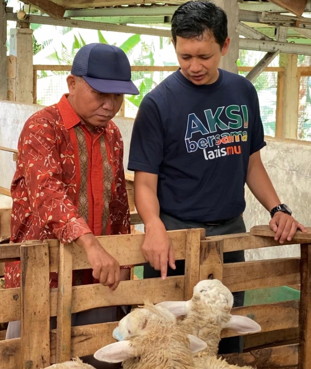 KBIHU Gema Arafah Gandeng LazisMu Wonosobo daIam Menunaikan 'Dam Haji di Tanah Air - Gambar 6