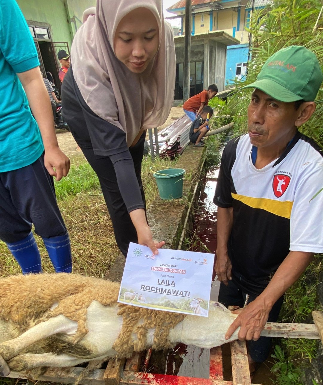 LAZISMU Wonosobo Sukses Gelar Qurban Pak Kumis di Desa Mungkung, Salurkan Sapi dan Belasan Domba - Gambar 2