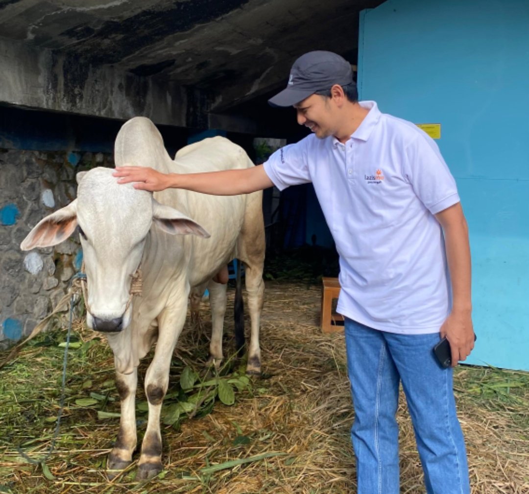LAZISMU Wonosobo Sukses Gelar Qurban Pak Kumis di Desa Mungkung, Salurkan Sapi dan Belasan Domba - Gambar 1