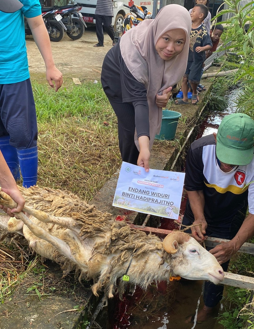 LAZISMU Wonosobo Sukses Gelar Qurban Pak Kumis di Desa Mungkung, Salurkan Sapi dan Belasan Domba - Gambar 5