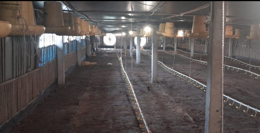 Sinergi PCM Kaliwiro dan UMP: Kembangkan Eduwisata hingga Peternakan Kambing Perah Multi Years - Gambar 6