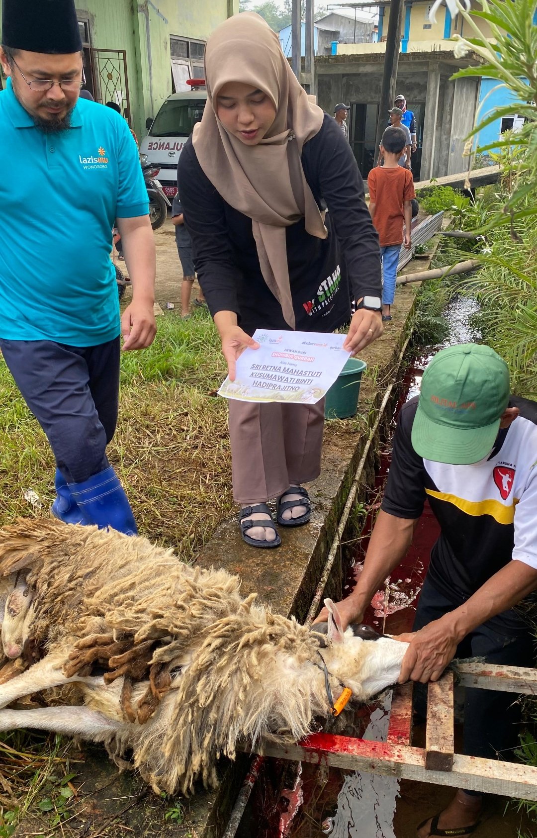 LAZISMU Wonosobo Sukses Gelar Qurban Pak Kumis di Desa Mungkung, Salurkan Sapi dan Belasan Domba - Gambar 4