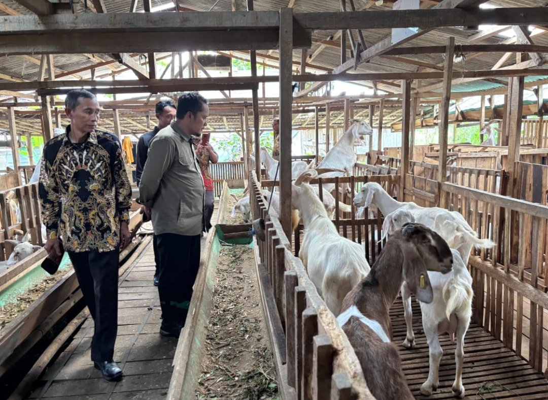 Sinergi PCM Kaliwiro dan UMP: Kembangkan Eduwisata hingga Peternakan Kambing Perah Multi Years - Gambar 3