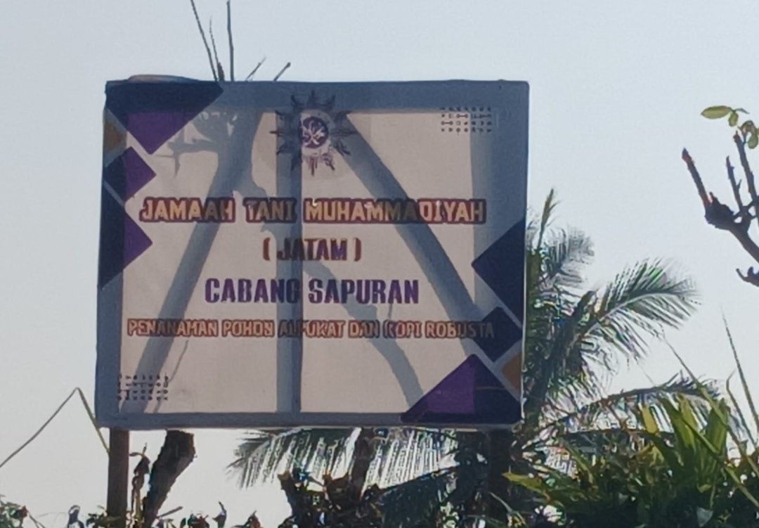 Muhammadiyah Optimalkan Aset Umat, JATAM Tanam Kopi dan Alpukat Demi Perkuat Ketahanan Pangan Nasional - Gambar 10